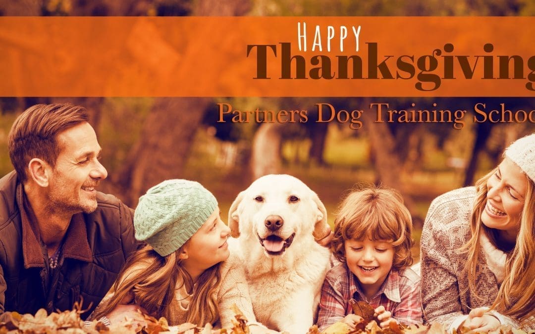 Four Reasons Why Dogs LOVE Thanksgiving