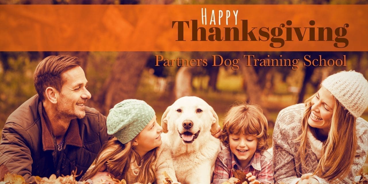 Four Reasons Why Dogs LOVE Thanksgiving