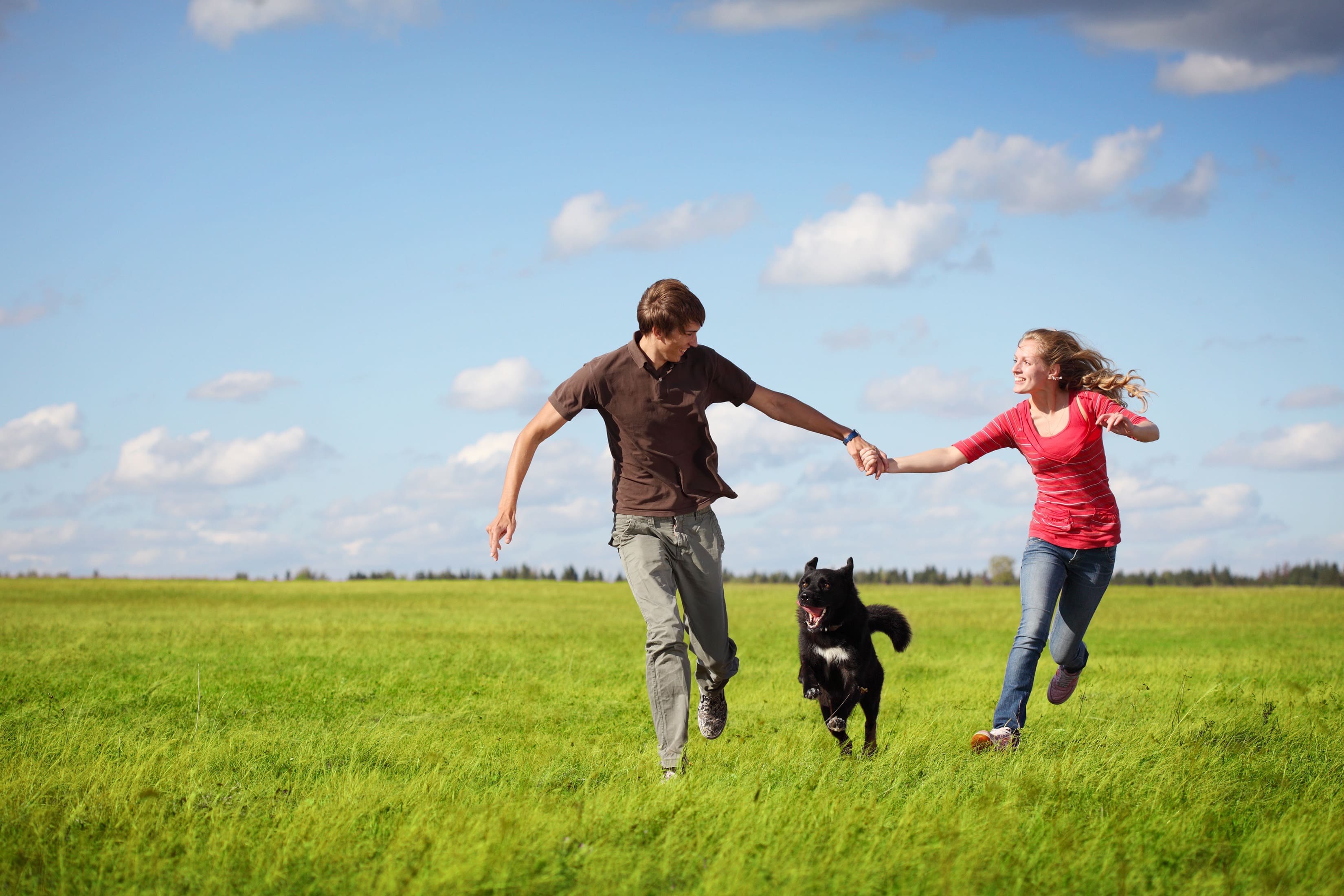 dogs jumping